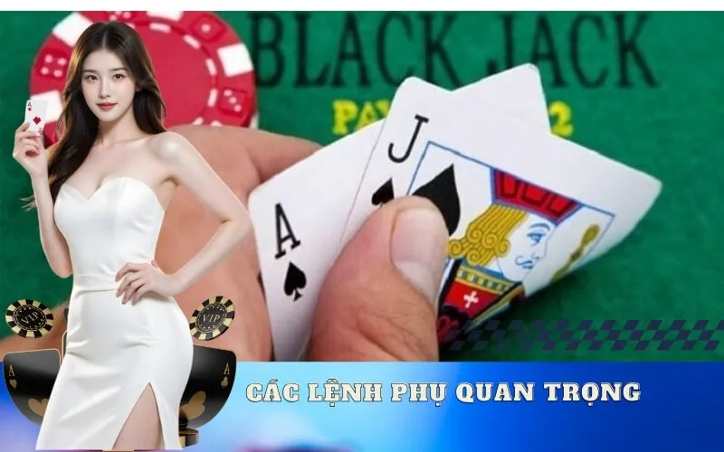 Các Lệnh Phụ Quan Trọng