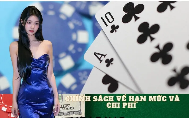 Chính Sách Về Hạn Mức và Chi Phí