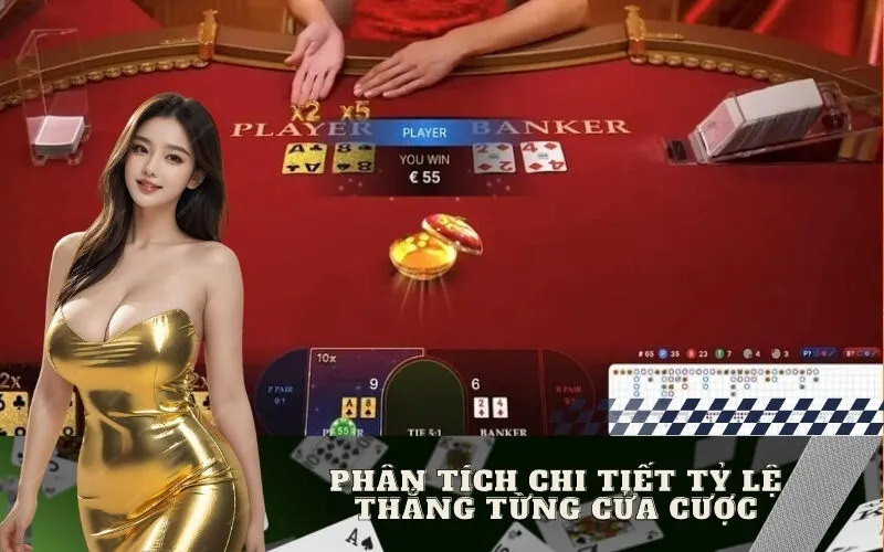 Phân Tích Chi Tiết Tỷ Lệ Thắng Từng Cửa Cược