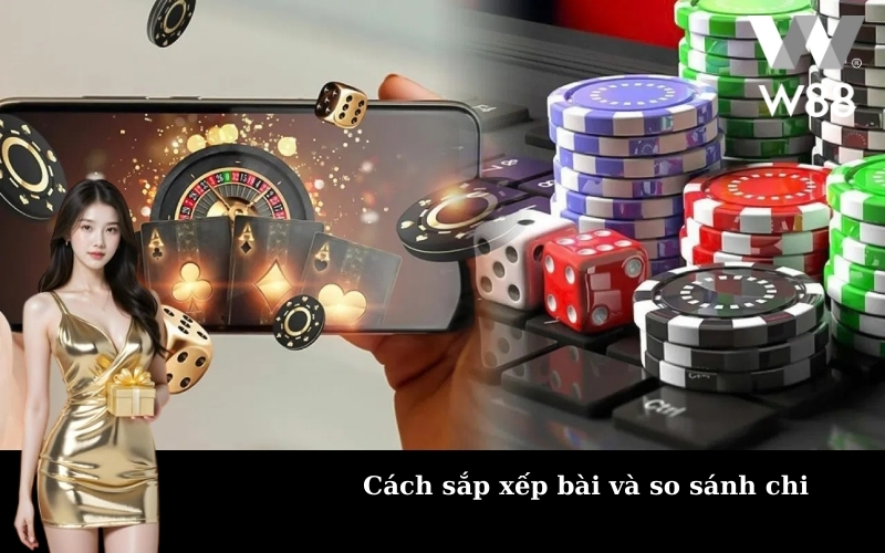 Cách sắp xếp bài và so sánh chi
